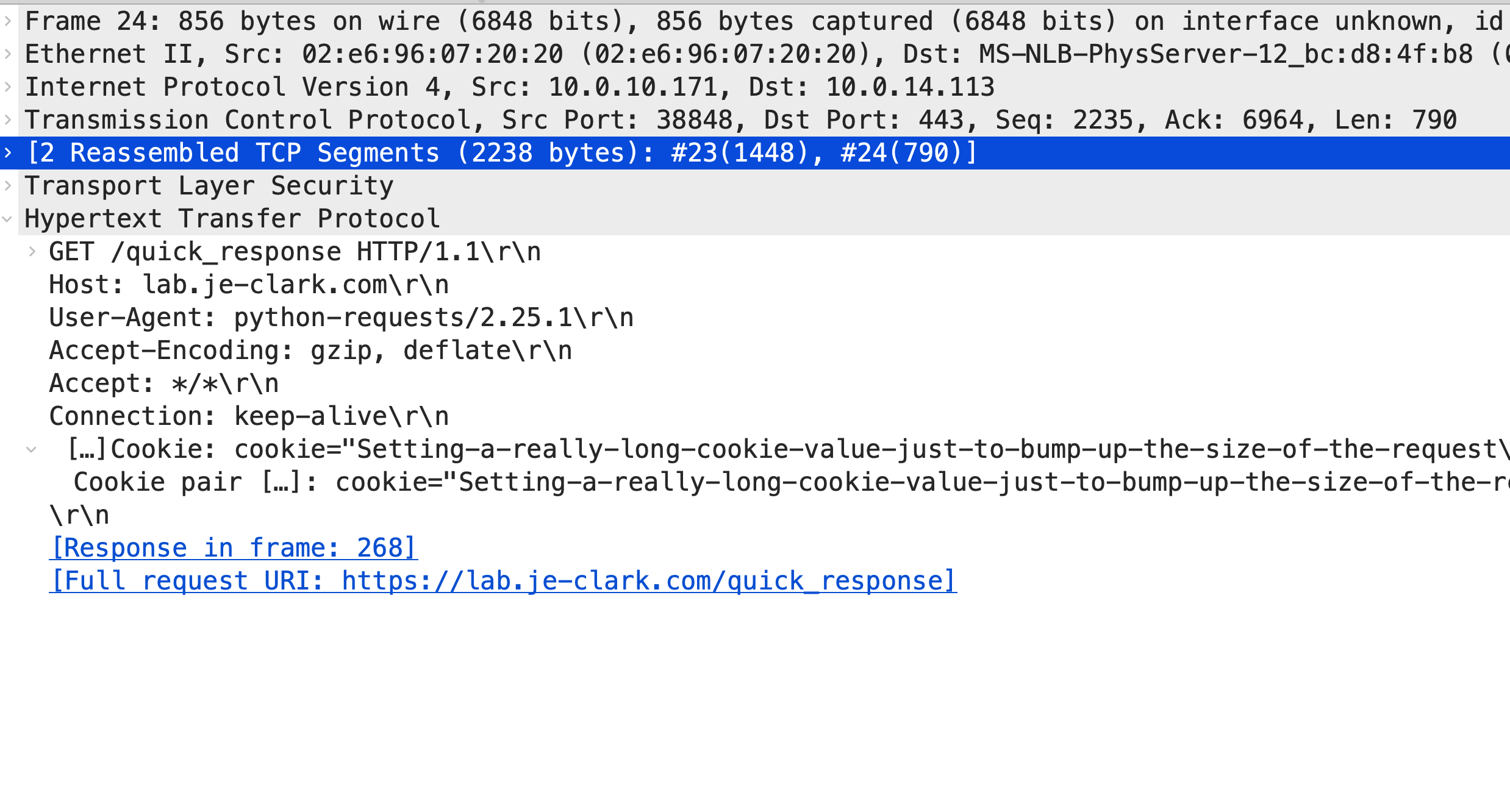 Packet details for a decrypted HTTP Request showing it split into multiple frames